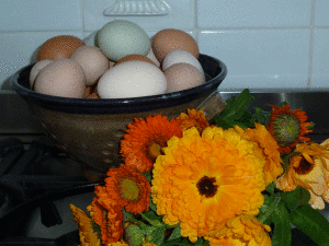 eggs-and-flowers