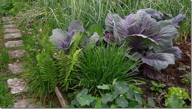 Things grow well here!