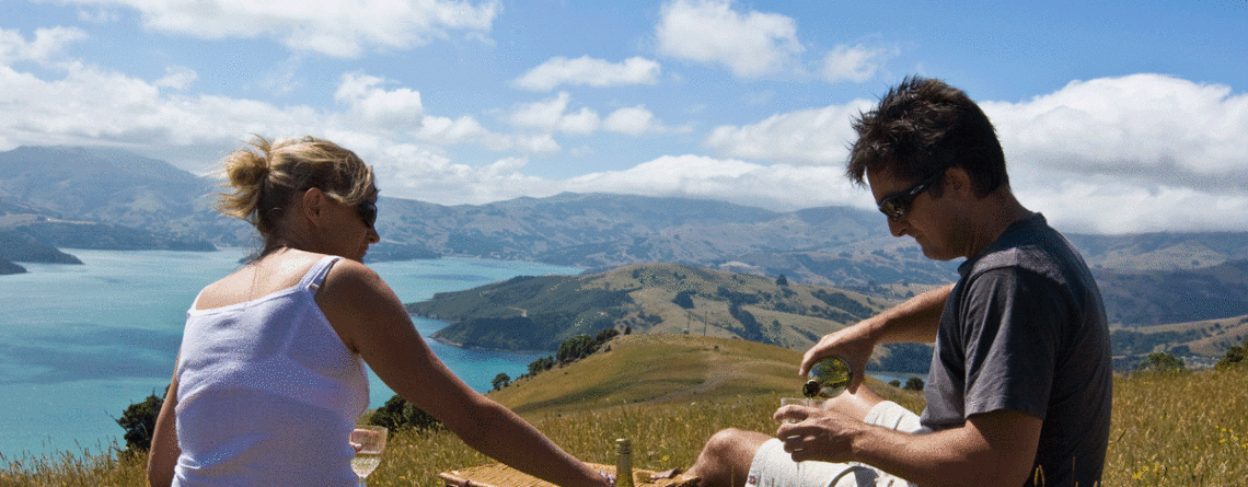 What to do in Akaroa…