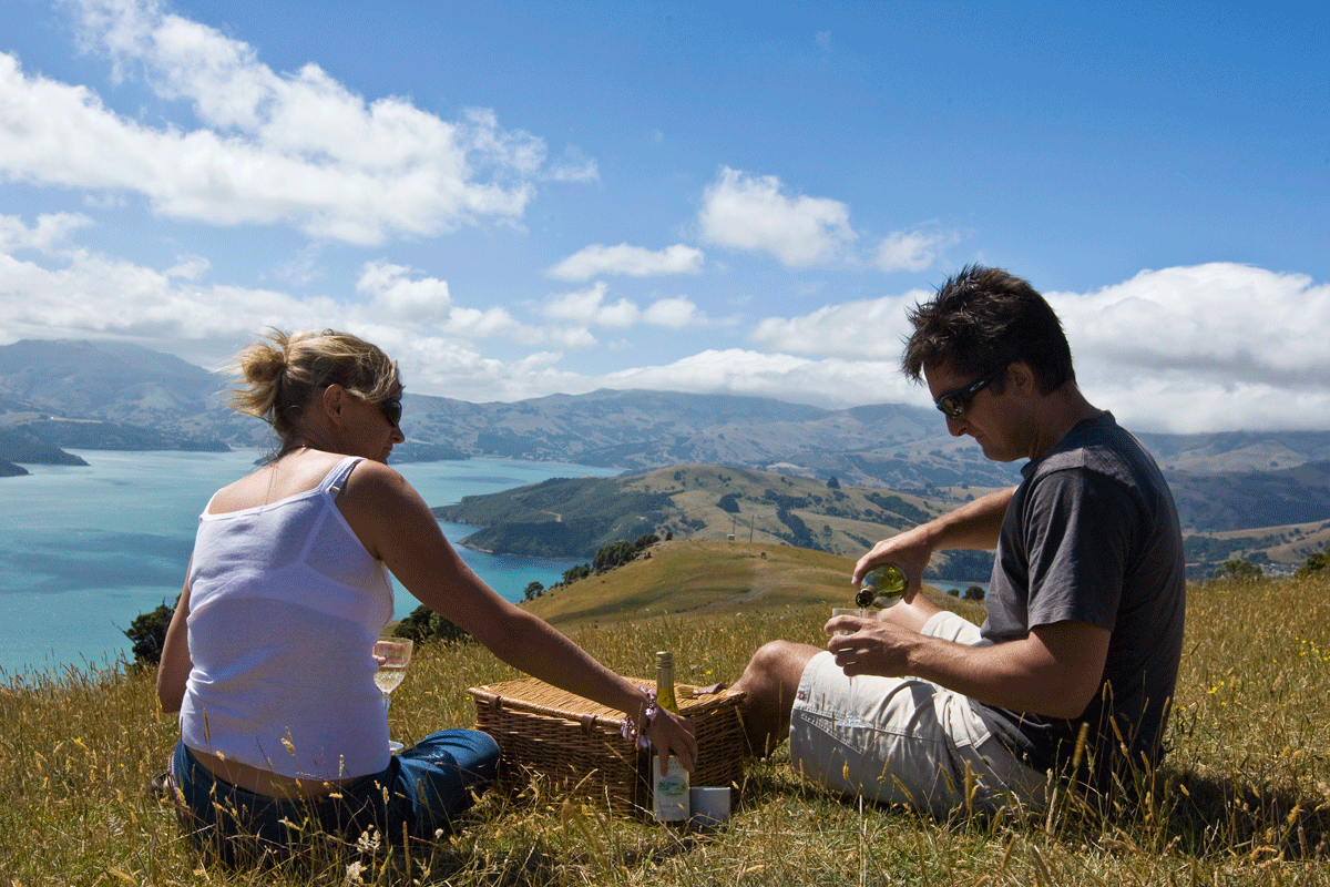 Akaroa has so much to offer