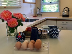 Fresh free range eggs from the garden ready for your breakfast