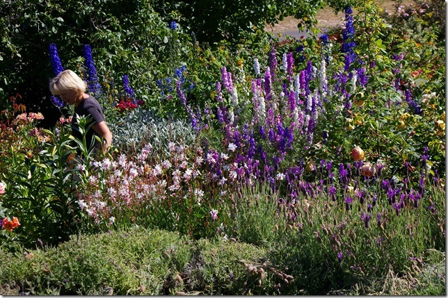Exploring the garden