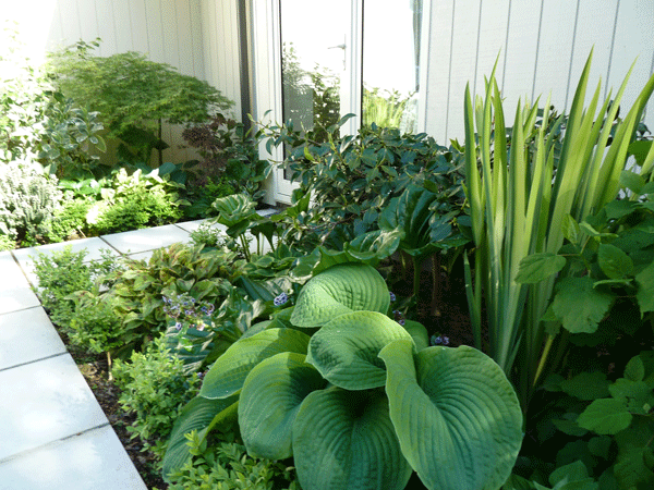 L'abri Vegetable Garden
